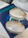 Abalone shell box